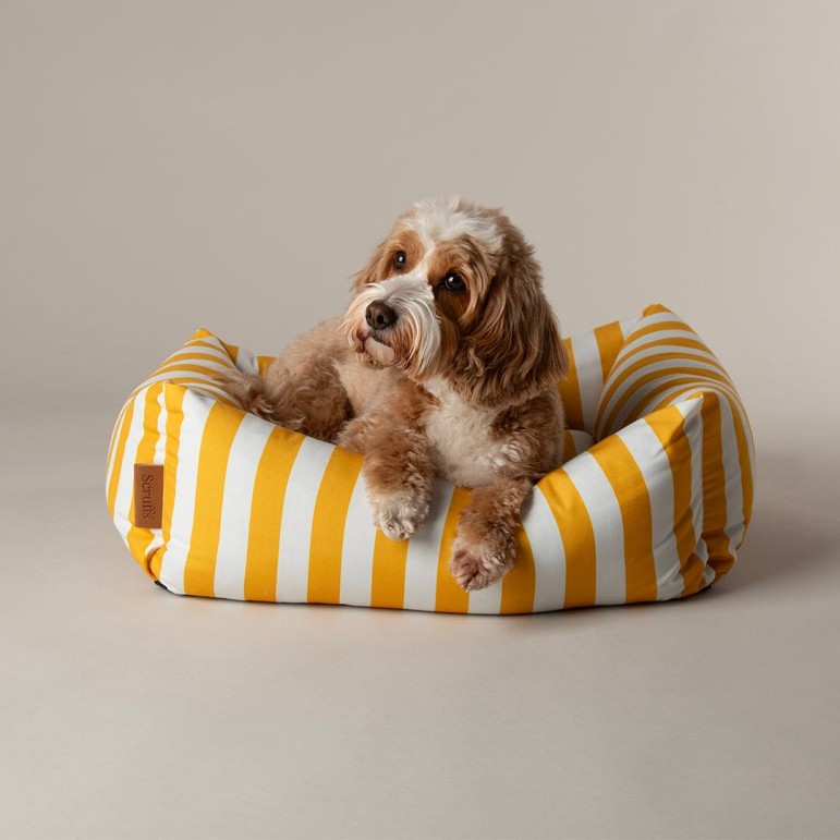 Amalfi box bed color Amarillo talla M