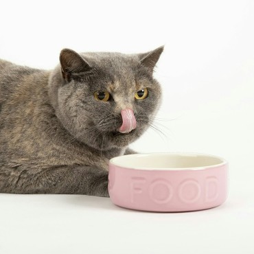 Comedero classic food color Rosa talla 19cm 2