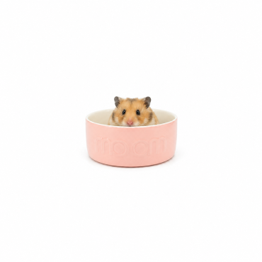 Comedero classic small color Rosa talla 8cm 2