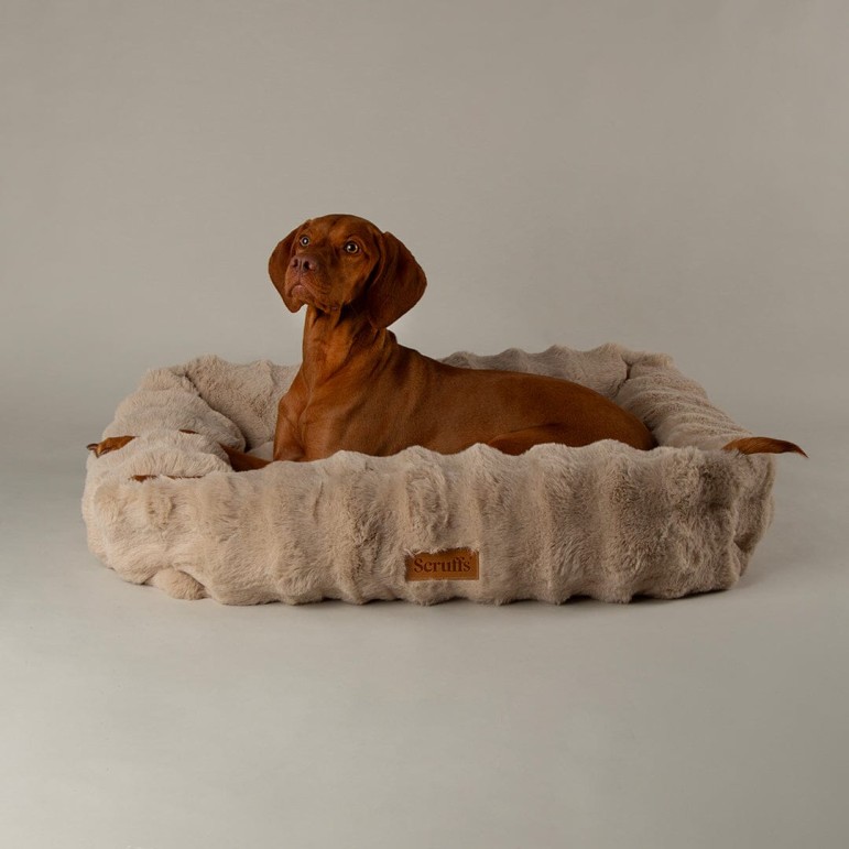 Cama Alpine