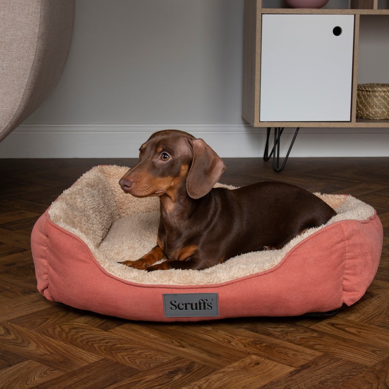 Cama Cosy