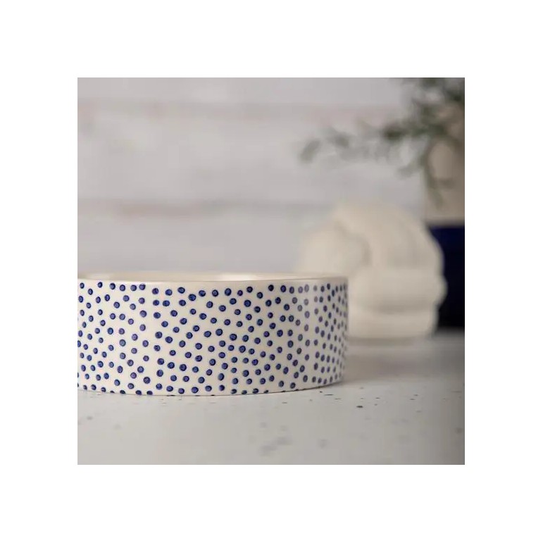 Comedero coastal color Azul puntos talla 15cm