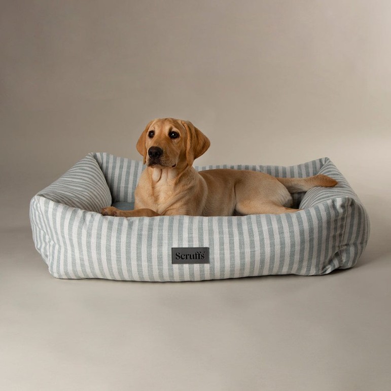 Coastal box bed  color Verde talla L