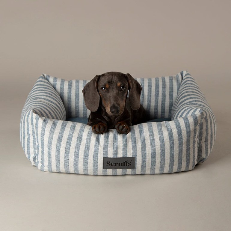 Coastal box bed  color Azul talla M